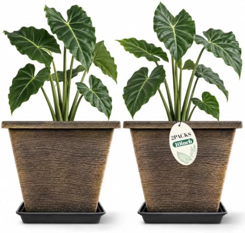 Usocik 10 Inch Square Planter Pots with Saucers, Brushed Gold, 2 Pack by Usocik