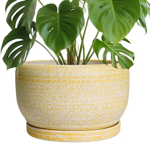 SQOWL Ceramic Planters for Indoor Plants - 10 Inch Plant Pot with Drainage Hole and Saucer, Round Ceramic Flower Pot Outdoor, Decorative Large Planter, Office Decor, Gifts for Women Men, Yellow by SQOWL