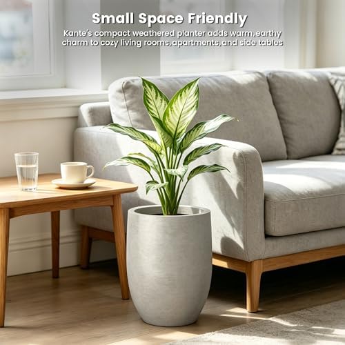 Kante Small Round Curved Weathered Concrete Planter 9.1" Dia, Outdoor - Image 5