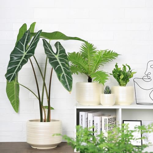 10 Inch Ceramic Plant Pot with Drainage – Large Flower Pot for Indoor Outdoor Plants, Modern Decorative Planter for Patio, Balcony, Garden, or Home Decor - Image 6