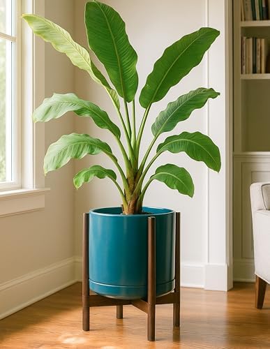 D'vine Dev Ceramic Pot with Walnut Wood Stand, Teal, 14 in, 55-B-T-4 - Image 4