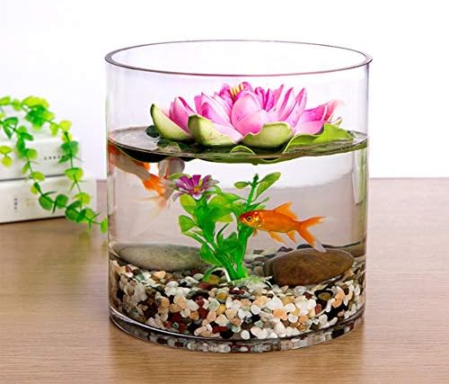 WGV Cylinder Vase, Width 8", Height 8", Clear Wide Large Diameter Flower Glassware, Floral Container, Planter Terrarium for Wedding Party Event, Home Accent Decor, 1 Piece - Image 4