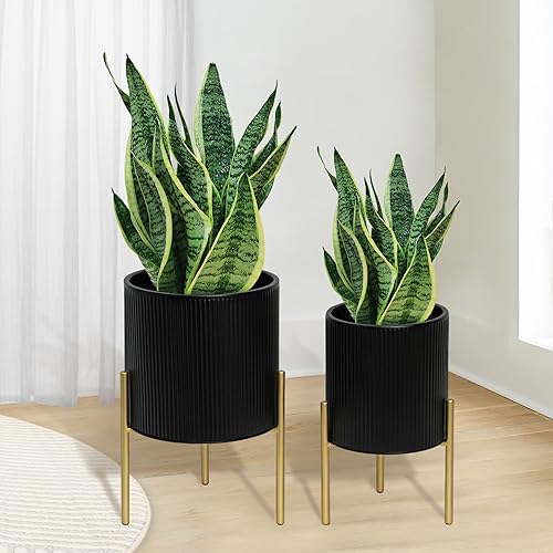 ARNIS Modern Planter Pots, Set of 2 Round Large Planters with Stand, Decorative Planters, Metal Pots with Drainage Holes for Living Room, Office, Garden or Balcony, 8.25 &10.5 Inch, Black & Gold by ARNIS