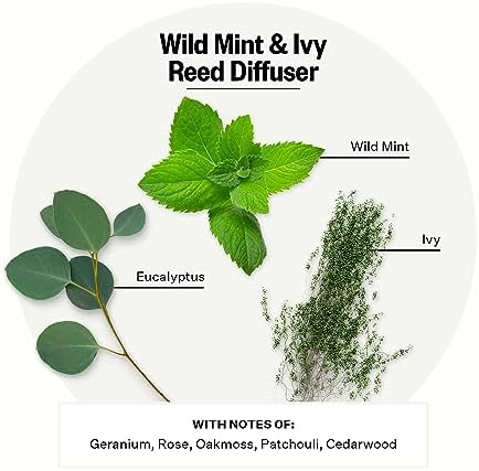 Apotheke Scented Reed Diffuser for Home, Wild Mint & Ivy, 10 Reed Sticks - Image 2