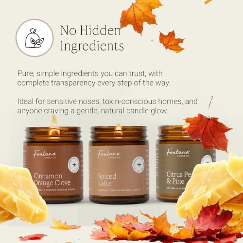 Fontana Candle Co Wood Wick Beeswax Candle, Fall Candle Bundle - Image 6