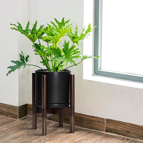 D'vine Dev Ceramic Pot with Walnut Wood Stand, Black, 8 in, 55-B-Y-2 - Image 4