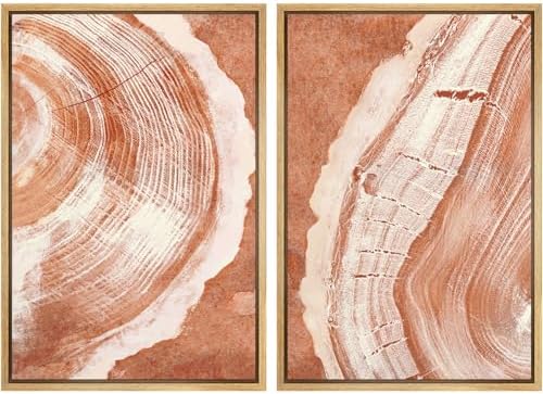 SIGNWIN Framed Canvas Print Wall Art Set Orange Closeup Wood Tree Ring Details Nature Wilderness Illustrations Modern Art Rustic Colorful Ultra for Living Room, Bedroom, Office - 24"" x36 x2 Natural by SIGNWIN
