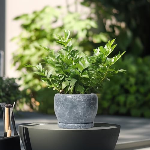 SQOWL 6 Inch Plant pots Indoor - Ceramic Planter with Drainage Hole and Saucer, Ceramic Flower Pot Outdoor, Decorative Round Planter, Home Decor Living Room, Gifts for Plant Lovers, Gray - Image 4
