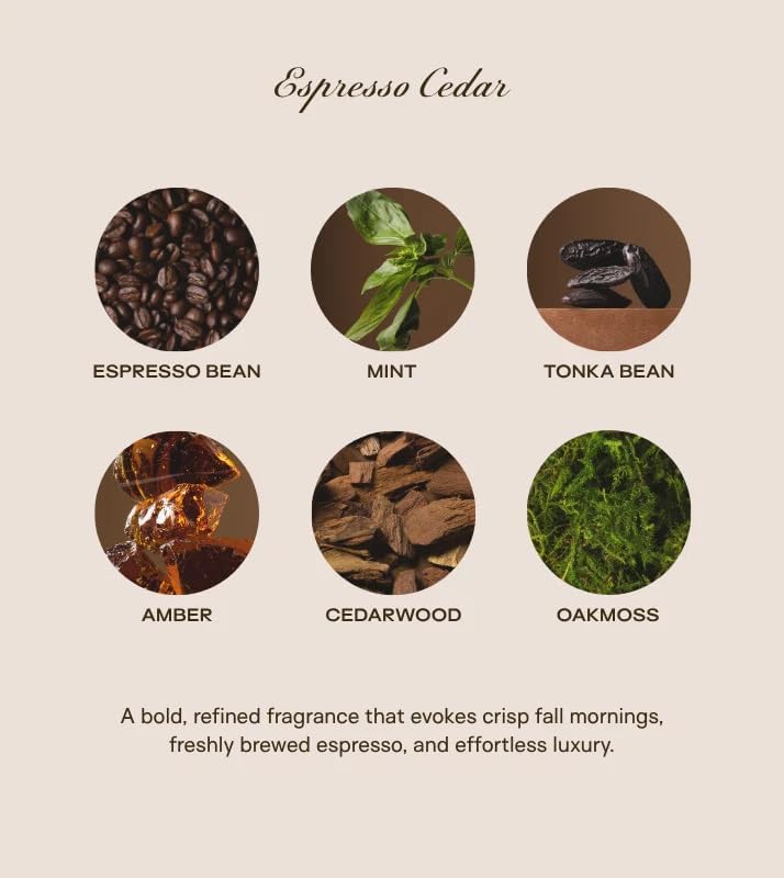 | Huge 10lb Luxury Candle, 150oz, 500 Hours | Espresso Cedar | Espresso, Oakmoss, Cedar | Natural Coconut-Soy Wax | by Big Ass Luxuries | As Seen On Shark Tank - Image 2