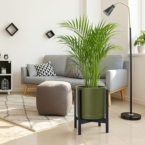 D'vine Dev Ceramic Pot with Ebony Wood Stand, Olive, 12 in, 55-B-H-J - Image 2