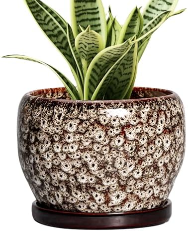 SQOWL Ceramic Plant Pots - 6 Inch Ceramic Planter for Indoor Outdoor, Small Flower Pots with Drainage Hole and Saucer, Decorative Round Planter, Home Office Decor, Plant Lover Gifts, White by SQOWL