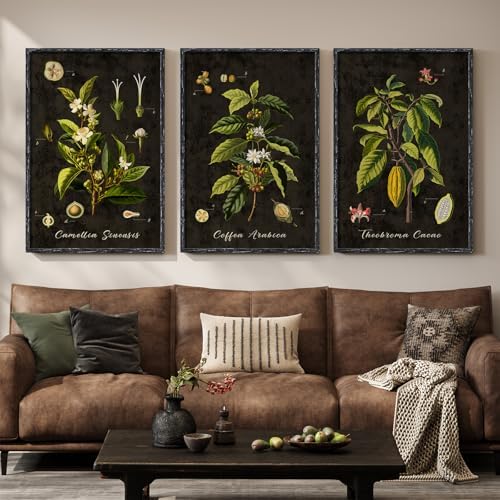 Large Vintage Framed Botanical Wall Art for Living Room, 3 Piece 24x36 Inch by Cuspin
