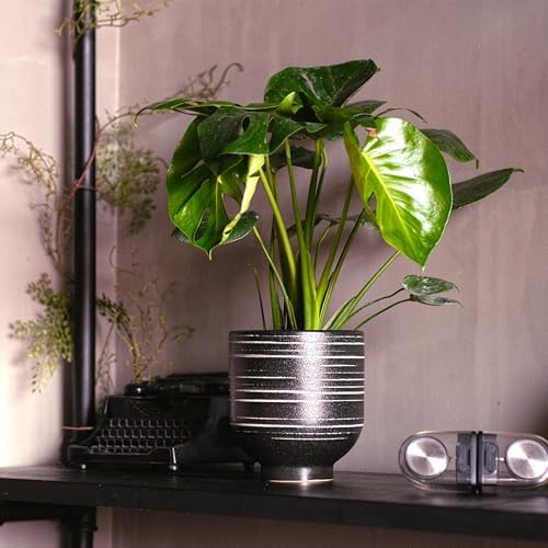HERDUK Indoor Ceramic Planter, Black Striped Pot for Shelf, Drainage Hole - Image 6