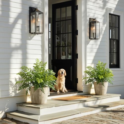 2 Pack Artificial Fern Plants in Pots Artificial Boston Ferns Potted Plants Faux Fern Bush Plant Shrubs Greenery for Outdoor Indoor Porch Patio Farmhouse Garden Living Room Office Table Decor (Type 2) - Image 5