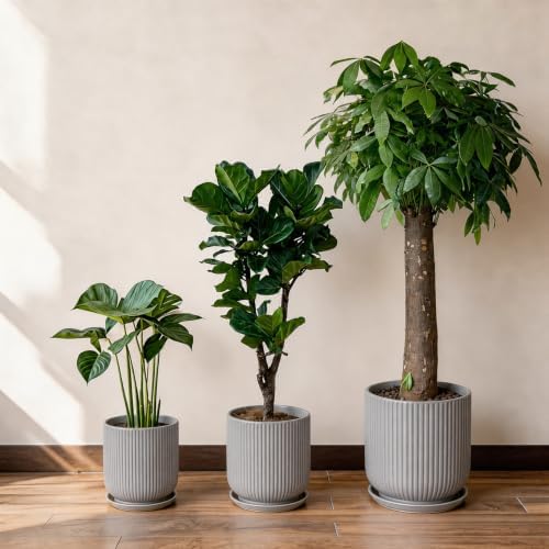 Deep Dream 8 Inch Ceramic Pots for Plants, Heavy Plant Pot for Indoor Outdoor Plants, Large Plant Pot with Drainage Hole and Saucer, Modern Tall Flower Pot, Gifts for Plant Lovers, Grey - Image 7