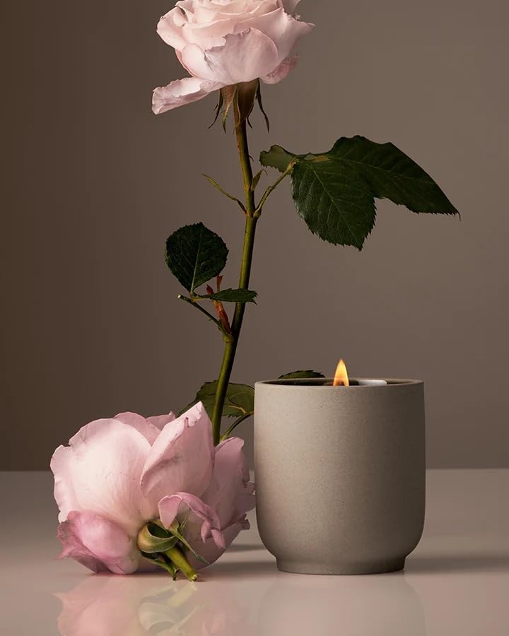 Homecourt by Courteney Cox Luxury Scented Candle, Steeped Rose, 8 oz by Homecourt