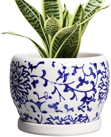 SQOWL 6 Inch Planter - Ceramic Plant Pots Indoor with Drainage Hole and Saucer, Round Ceramic Flower Pot Outdoor, Porcelain Decorative Planter, Backyard Decor, Gifts for Plant Lovers, Blue and White by SQOWL