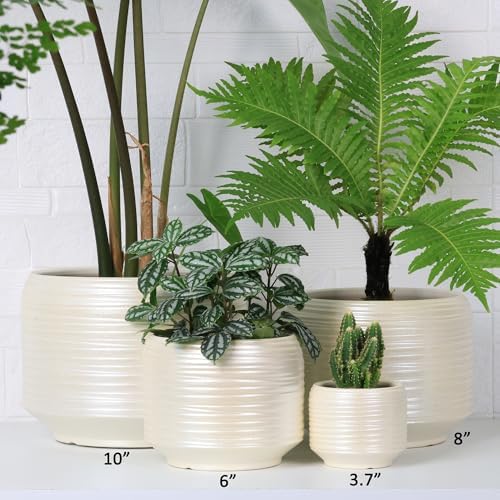 10 Inch Ceramic Plant Pot with Drainage – Large Flower Pot for Indoor Outdoor Plants, Modern Decorative Planter for Patio, Balcony, Garden, or Home Decor - Image 3
