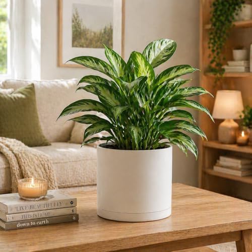 Giraffe Creation 12 Inch Cylinder Plant Pot, Modern Round Planter with Drainage Holes and Saucer, Durable Plastic Flower Pot for Indoor Outdoor Plants, White - Image 2