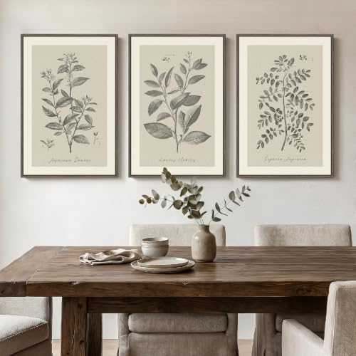 Framed 3 Piece Neutral Vintage Botanical Wall Art for Dining Room, 16x24 In by Cuspin