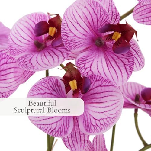 CG Hunter, Faux Orange Orchid Plant, 23 in, White, Home Decor - Image 3