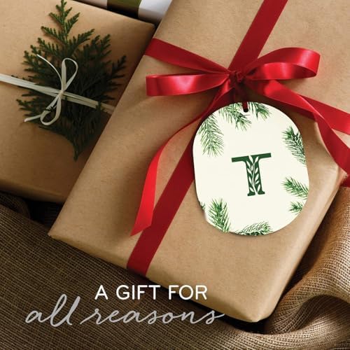 Thymes Frasier Fir Reed Diffuser Set – Includes Reeds, Fragrance Oil, and Frosted Glass Bottle – Fragrance Oil Diffuser – Room Fresheners – Luxury Home Decor – Green & Clear (Pine Needle, 4 fl oz) - Image 4