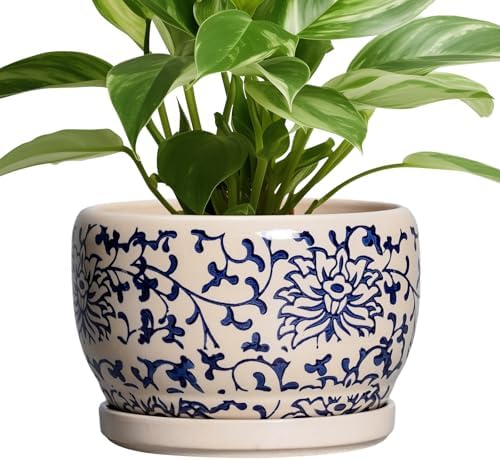 SQOWL Ceramic Planters for Indoor Plants - 8 inch Plant Pot with Drainage Hole and Saucer, Decorative Flower Pot Outdoor, Porcelain Round Planter, Living Room Decor, Gardening Gifts, Blue and Beige by SQOWL