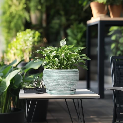 SQOWL Ceramic Planters for Indoor Plants - 8 inch Plant Pot Outdoor, Ceramic Flower Pot with Drainage Hole and Saucer, Round Modern Planter, Living Room Apartment Decor, Birthday Gifts, Green - Image 5