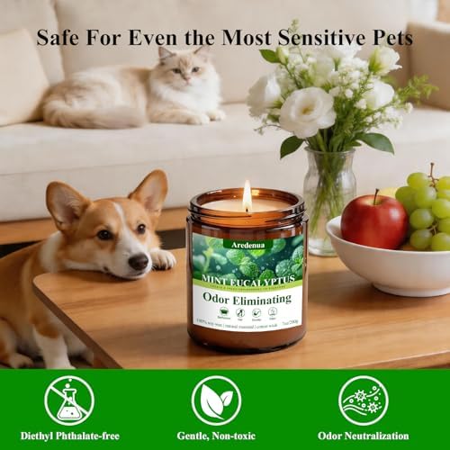 Mint Eucalyptus Odor Eliminating Candles, 7 oz Soy Scented Candle - Image 4