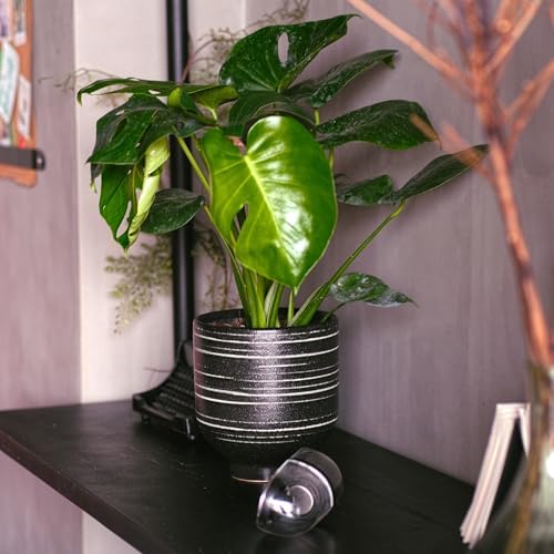HERDUK Indoor Ceramic Planter, Black Striped Pot for Shelf, Drainage Hole - Image 5