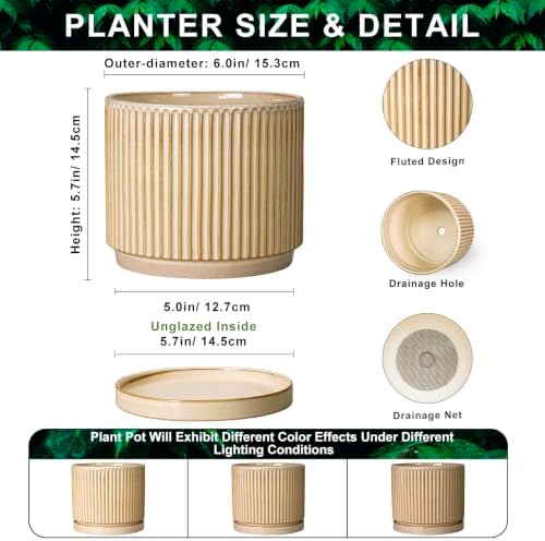 Ceramic Planter, 6 Inch Plant Pot, Pots for Plants with Tray, Beige - Image 2