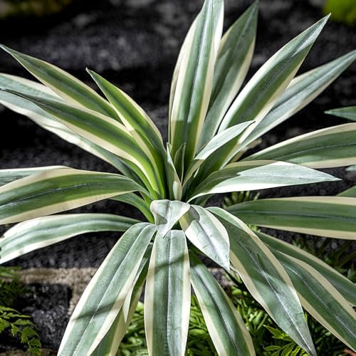 Artificial Agave Plant Fake Agave Planters for Indoor Outdoor Faux Agave Plants Real Touch Realistic Greenery for Home Living Room Office Bathroom Garden Front Porch Patio Decor (19inch-2 Pcs White) - Image 4