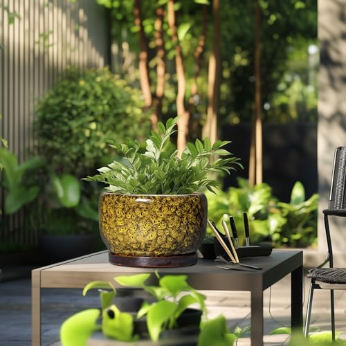 SQOWL 10 Inch Plant Pot - Ceramic Flower Pots with Drainage Hole and Saucer, Ceramic Planter for Indoor Plants Outdoor, Decorative Round Large Planter, House Decor, Gifts for Women Men, Yellow - Image 5