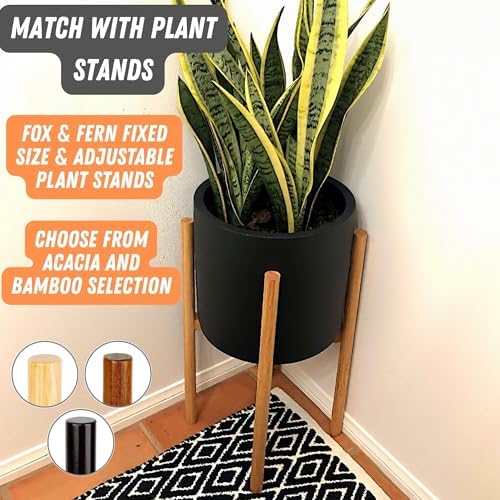 Fox & Fern Large Planter for Indoor or Outdoor, Black Matte, 10 Inch - Image 7