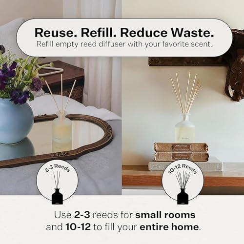 Apotheke Scented Reed Diffuser for Home, Canvas, 10 Reed Sticks - Image 4