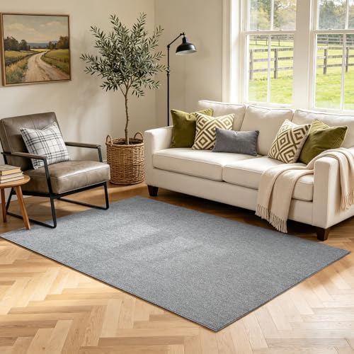 3x5 Grey Area Rug Washable Non-Slip Soft Thin for Bedroom Kitchen Entryway by Unknown