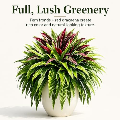 2027 New UV-Resistant Artificial Fern & Red Dracaena Decorative Plants，3set - Image 2