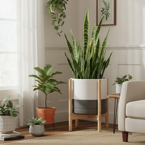 D'vine Dev Ceramic Pot with Natural Wood Stand, White/Grey, 14 in, 55-B-R-6 - Image 4