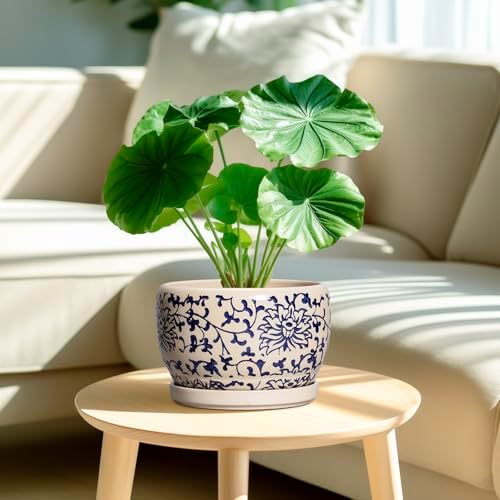 SQOWL Ceramic Planters for Indoor Plants - 8 inch Plant Pot with Drainage Hole and Saucer, Decorative Flower Pot Outdoor, Porcelain Round Planter, Living Room Decor, Gardening Gifts, Blue and Beige - Image 2