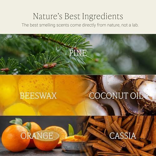 Fontana Candle Co Wood Wick Beeswax Candle, Citrus Peel & Pine - Image 4