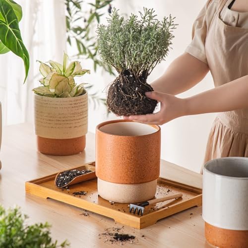 6 Inch Ceramic Self Watering Planter with Drainage Hole Terracotta - Image 6