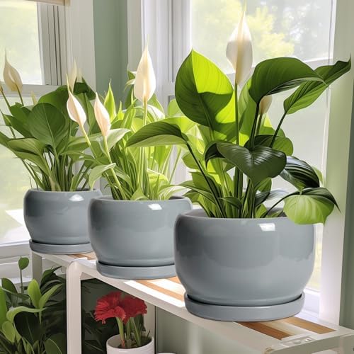 SQOWL 6 Inch Plant Pots - Ceramic Planter with Drainage Hole and Saucer, Round Ceramic Flower Pot Indoor Outdoor, Modern Succulent Planter, Bathroom Decor, Gifts for Plant Lovers, Grey - Image 5