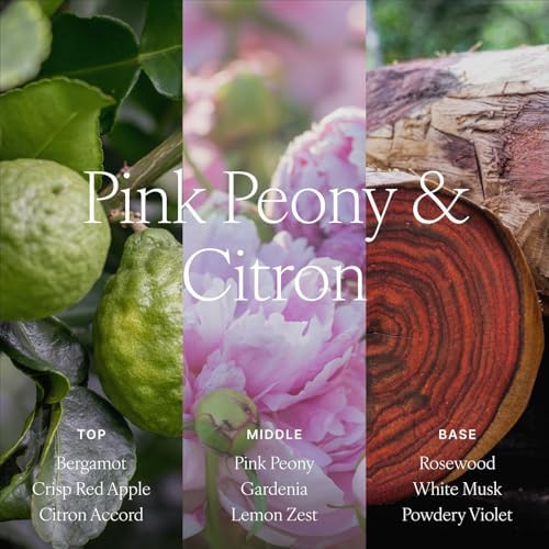 Antica Farmacista Reed Diffuser, Pink Peony & Citron, 16.9 fl oz - Image 4