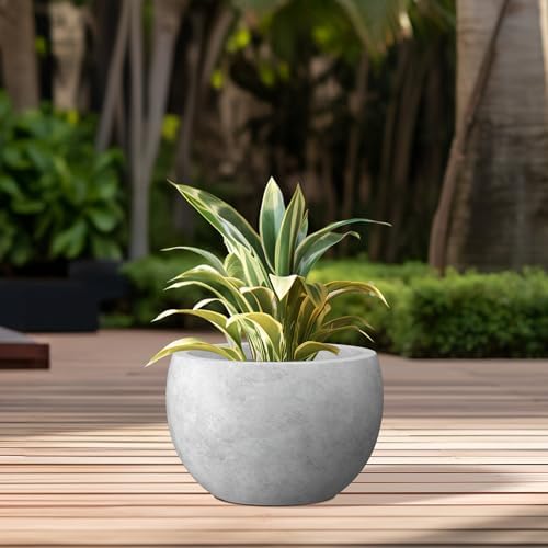 Kante Accent Round Bowl Pale Gray Concrete Planter 15.7" Dia, Outdoor - Image 4