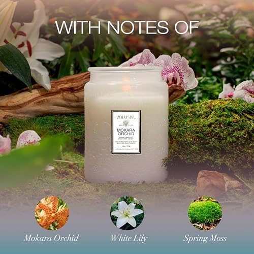 Voluspa Mokara Orchid Large Scented Candle Jar 18 Oz, 100 Hr Burn - Image 3