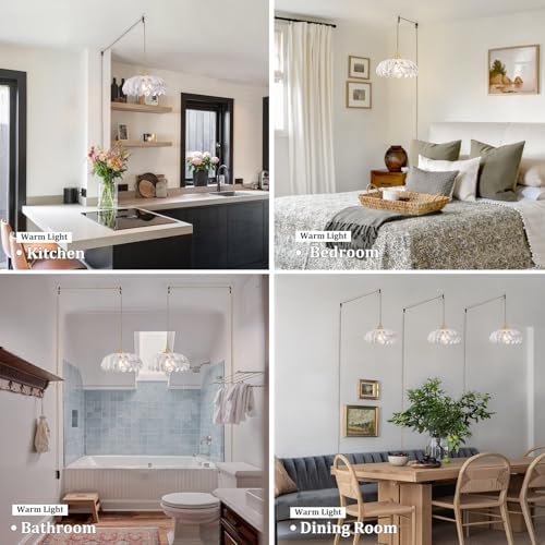 Shenmoyl Plug in Pendant Light Hanging Light Fixtures with Plugin Cord On/Off Switch,Clear Scindapsus Glass Lampshade Brass Pendant Light - Image 2