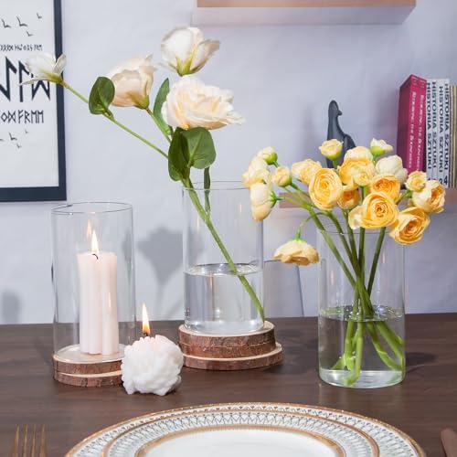 TBWIND 12pcs 6 Inch Clear Glass Cylinder Vases for Centerpieces - Image 5