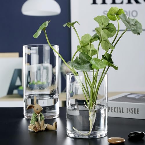 WGVI Quality Thick Clear Cylinder Glass Vase, 3" W x 5" H, Floral Container, Glass Candle Holder, Flower Vases, Wedding Centerpiece, Planter Terrarium, Table Top Home Décor Accent, 1 Piece - Image 6