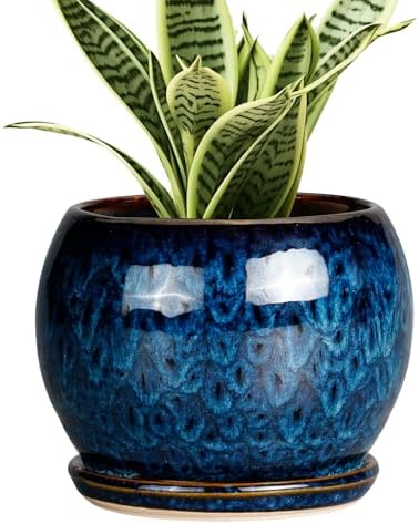 SQOWL 6 Inch Plant Pot - Ceramic Planter Pot with Drainage Hole and Saucer, Succulent Pot Round Flower Pot for Indoor Plants Outdoor, Blue by SQOWL