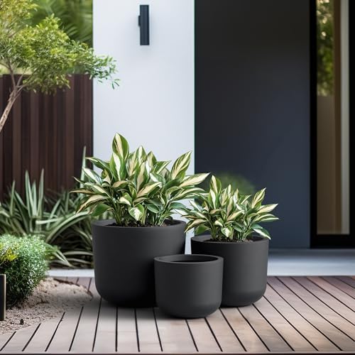 Kante Set of 3 Black Concrete Capsule Round Planters for Modern Home - Image 4